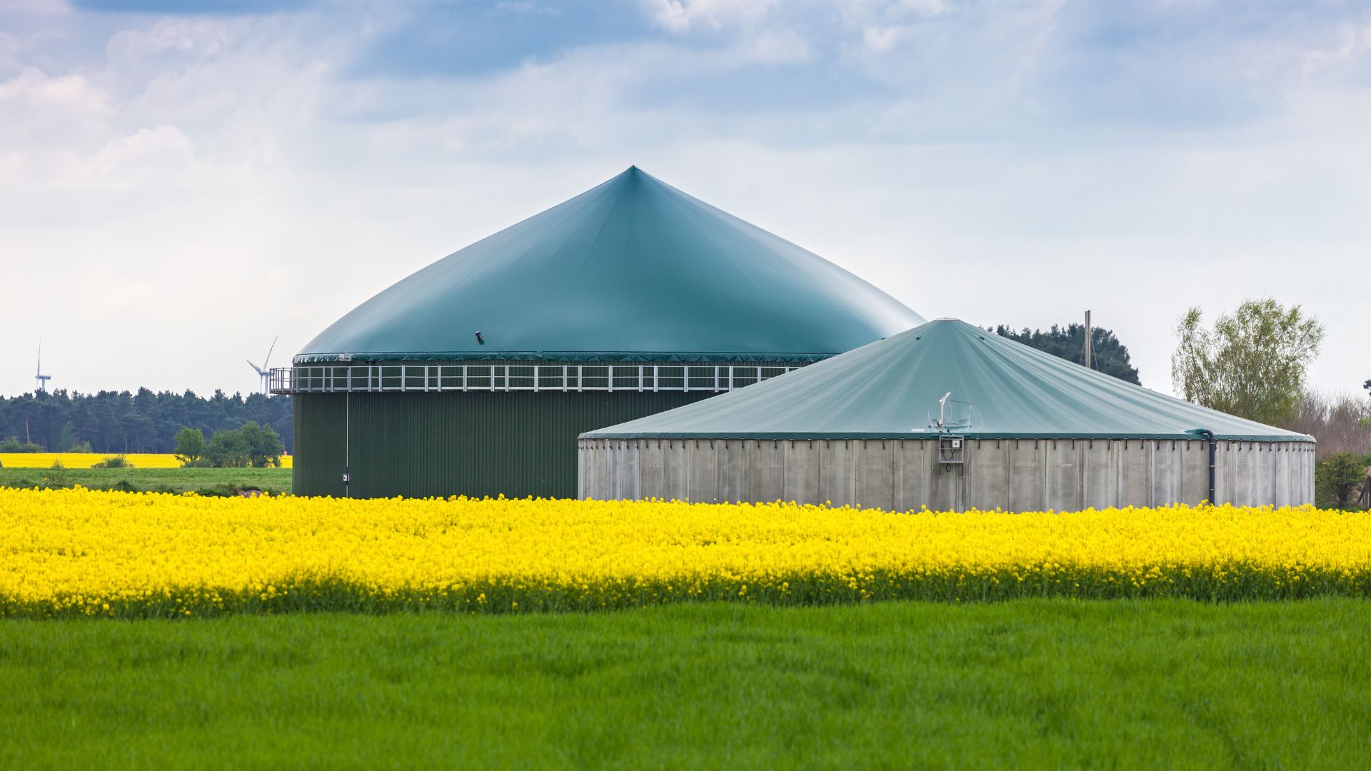 Biogas kann mittelfristig drei Prozent des Gasbedarfs decken