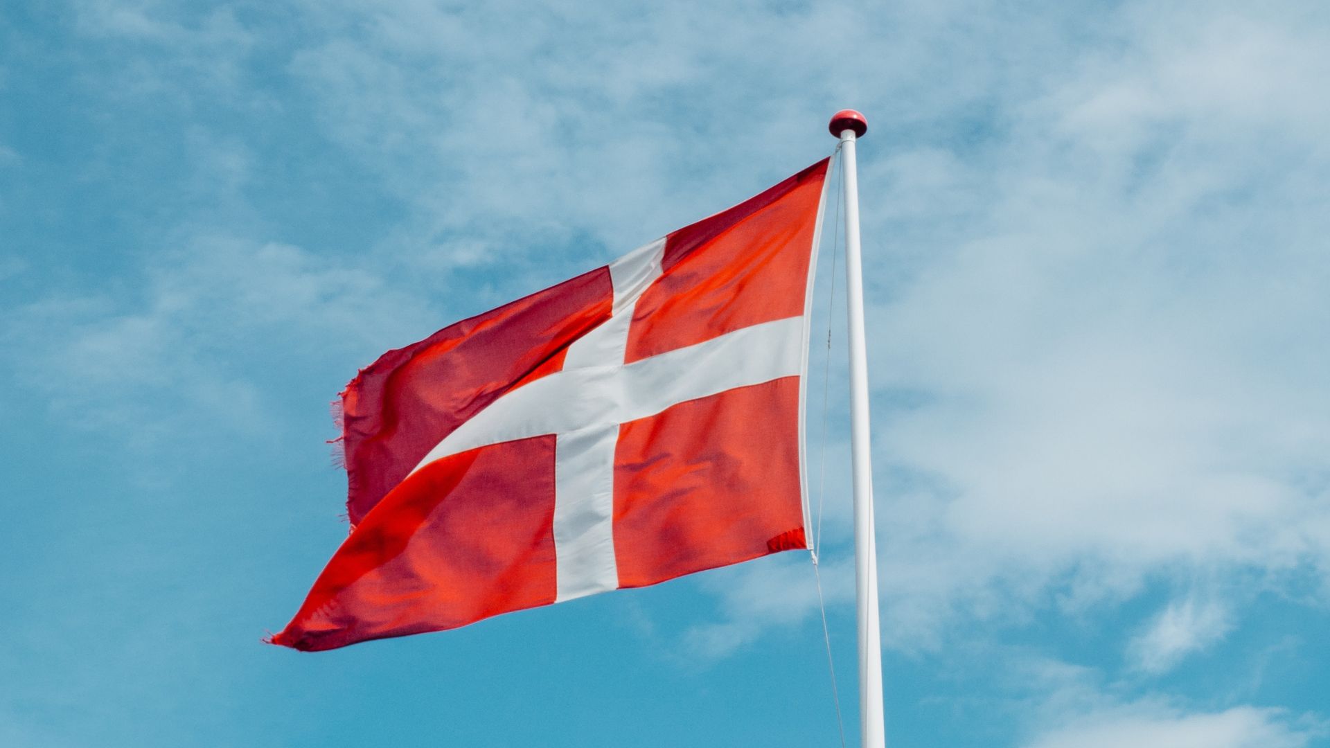 Schweinebestand in Dänemark stark gesunken