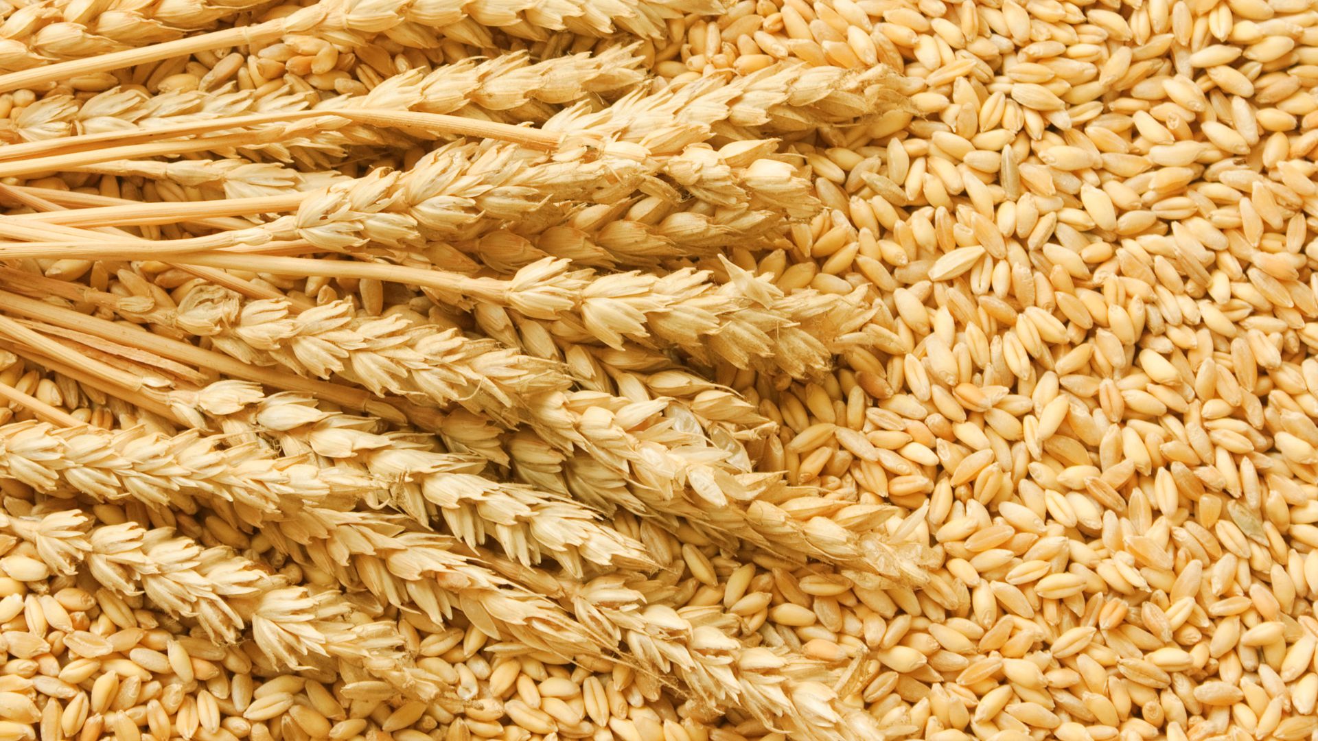 Getreidemärkte Weizen findet keinen Halt
