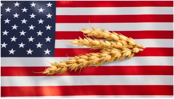 Getreidemärkte US-Wetter lässt Weizen abstürzen