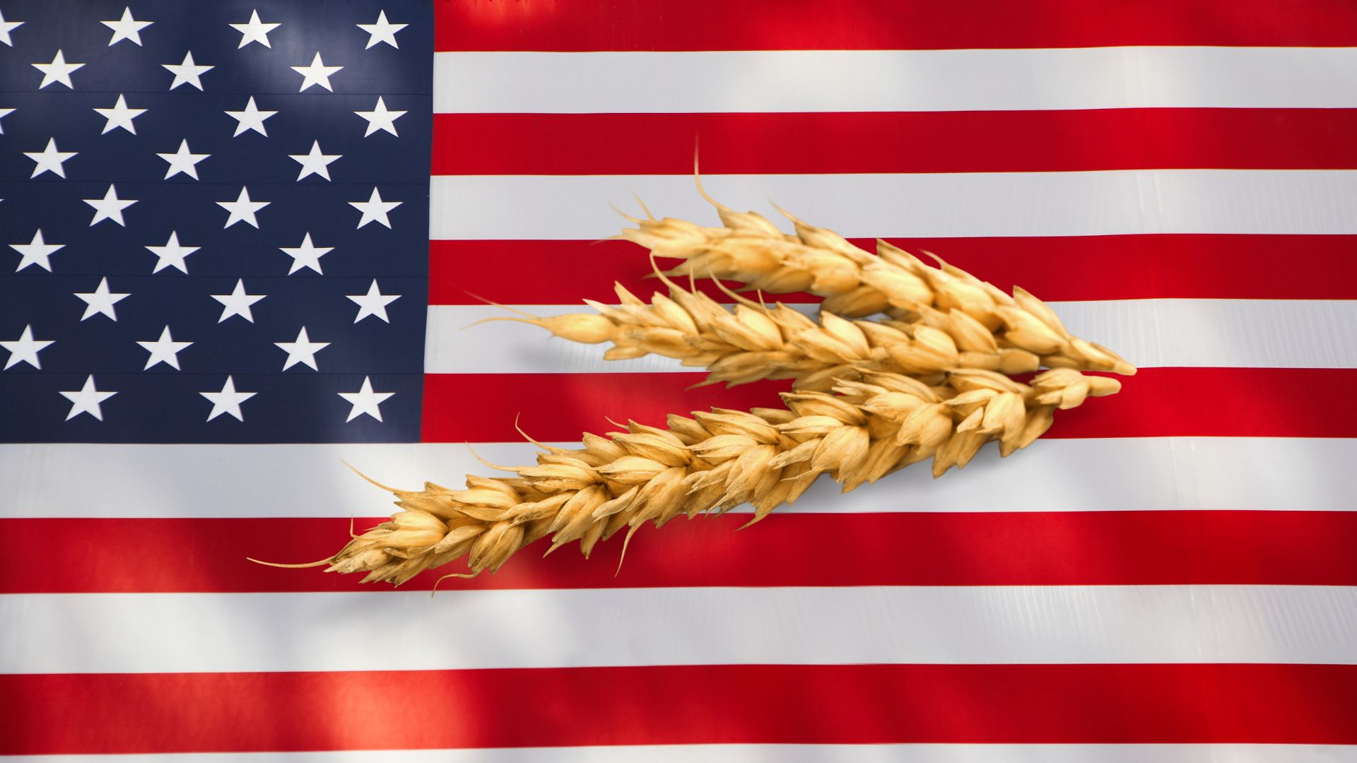 Getreidemärkte US-Weizen wenig gefragt