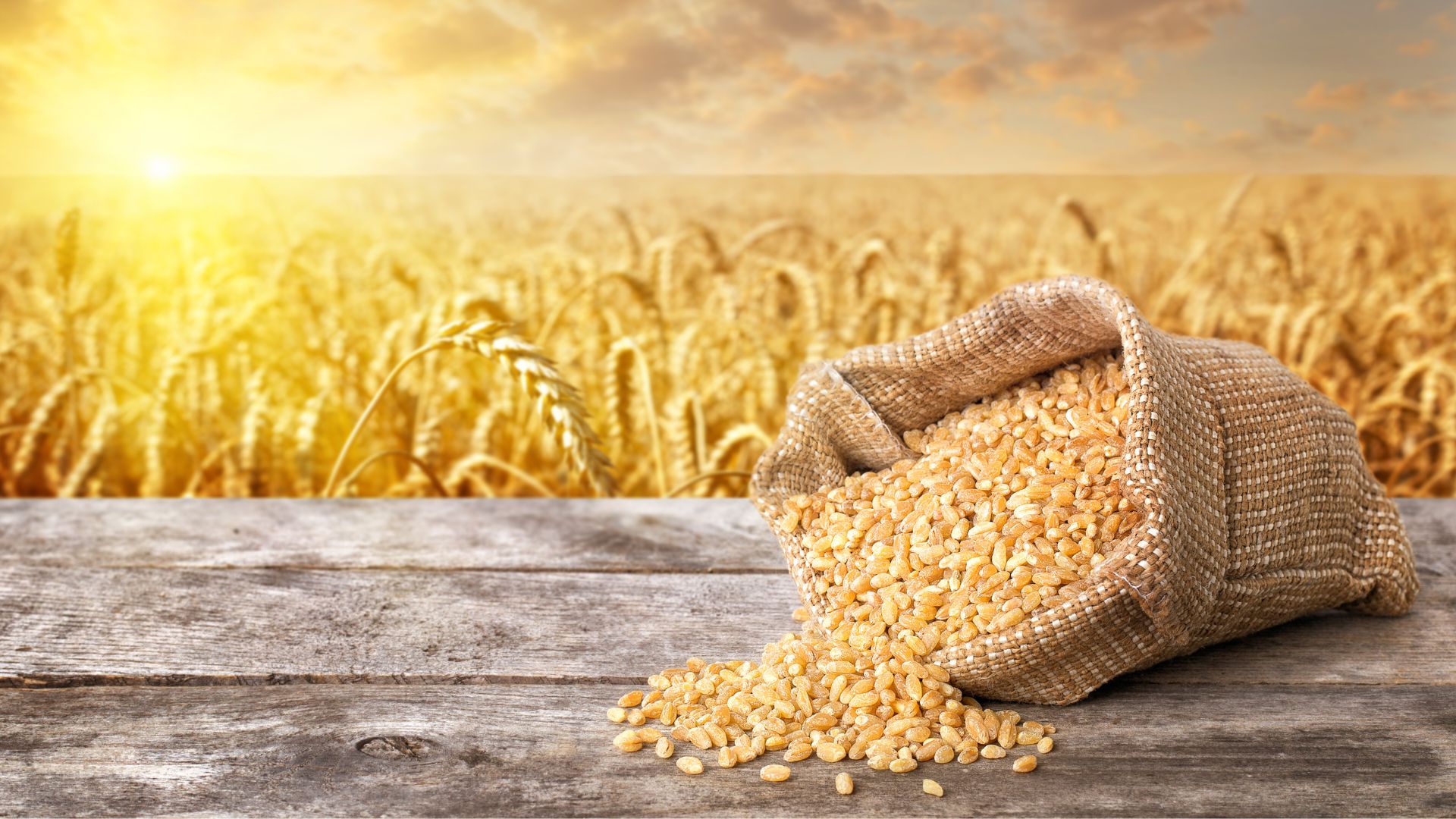 Getreidemärkte Weizen bleibt gefragt
